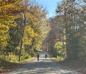 Group near Woodstock
