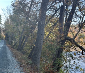 Along track to Woodstock