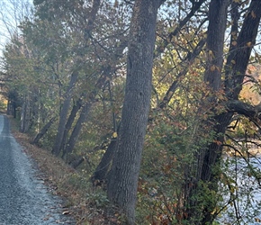 Christine along track to Woodstock