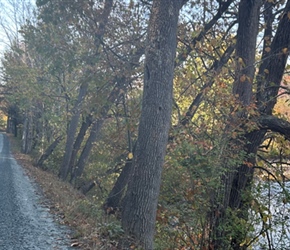 Deborah, Shirley and Valerie along track to Woodstock