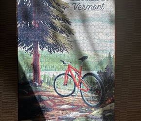 Finished the puzzle