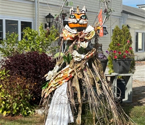 Cat Halloween in New London