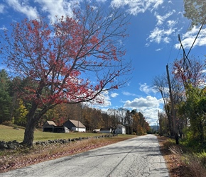 Rural View
