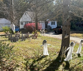 Ghostly garden
