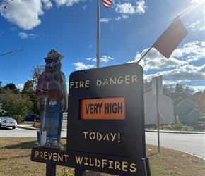 Smokey the Bear at Bennington