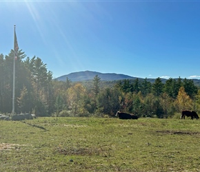 Mount Monadnock from Overlook Farm