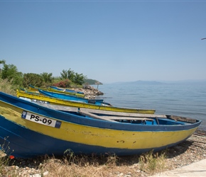 Boats by the lake
