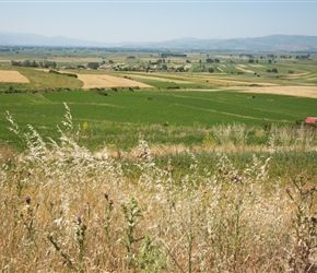 Farmed fields