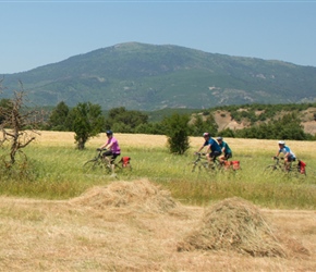 Through the fields