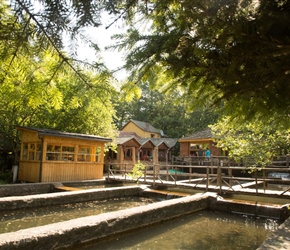 Farm Sotira 