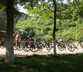 Exercising tree at Sotira